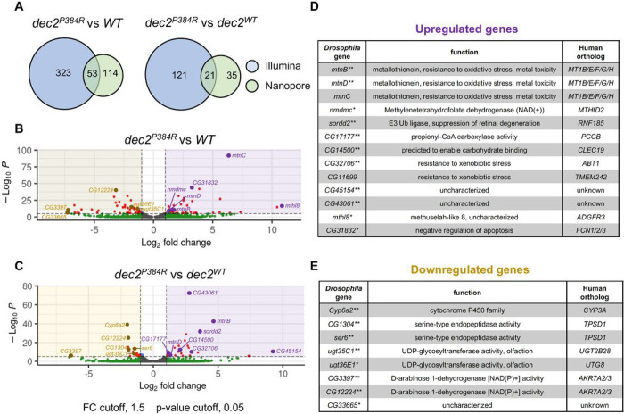 Figure 4: