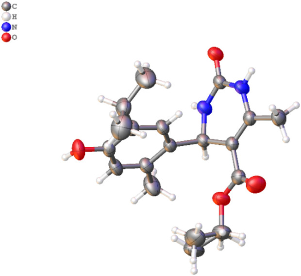 FIGURE 3