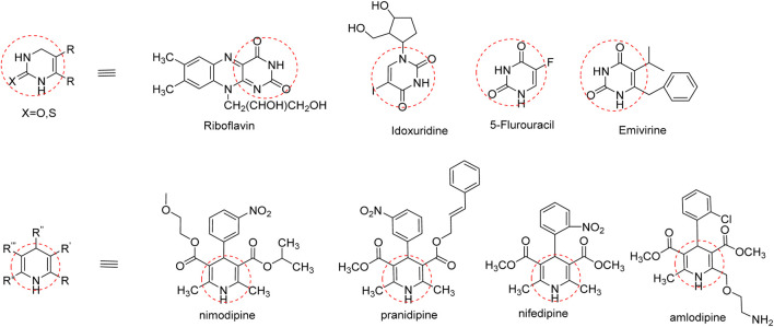 FIGURE 6