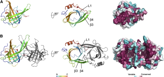 Figure 2.