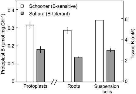 Figure 5.