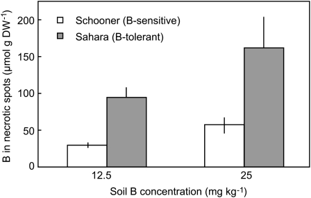 Figure 3.