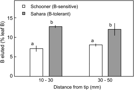 Figure 6.