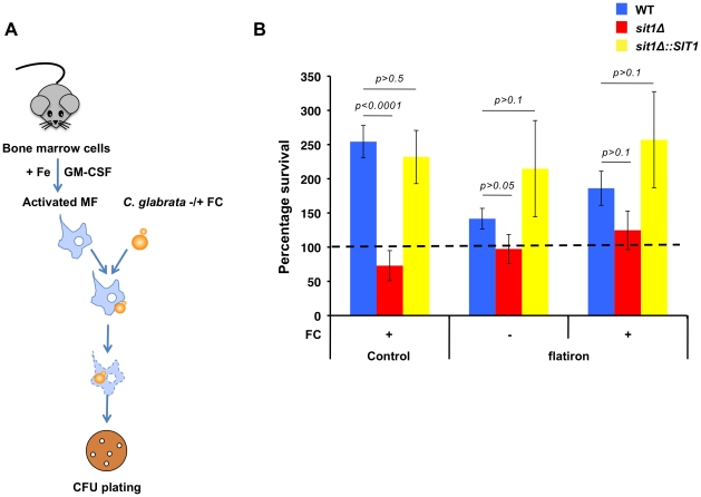 Figure 6