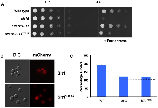 Figure 7