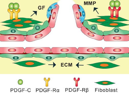 Figure 2: