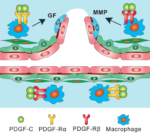 Figure 3: