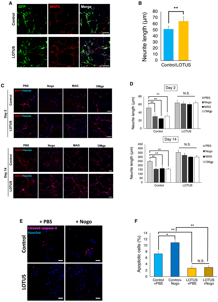 Figure 2