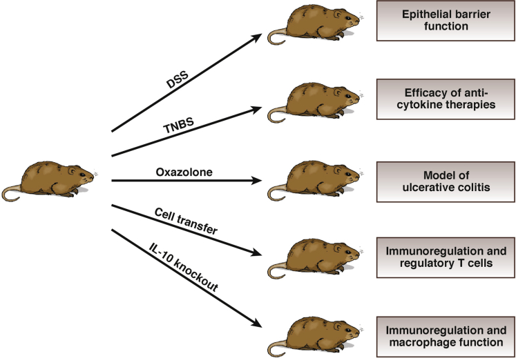 Figure 4