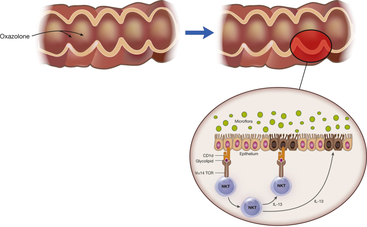 Figure 2