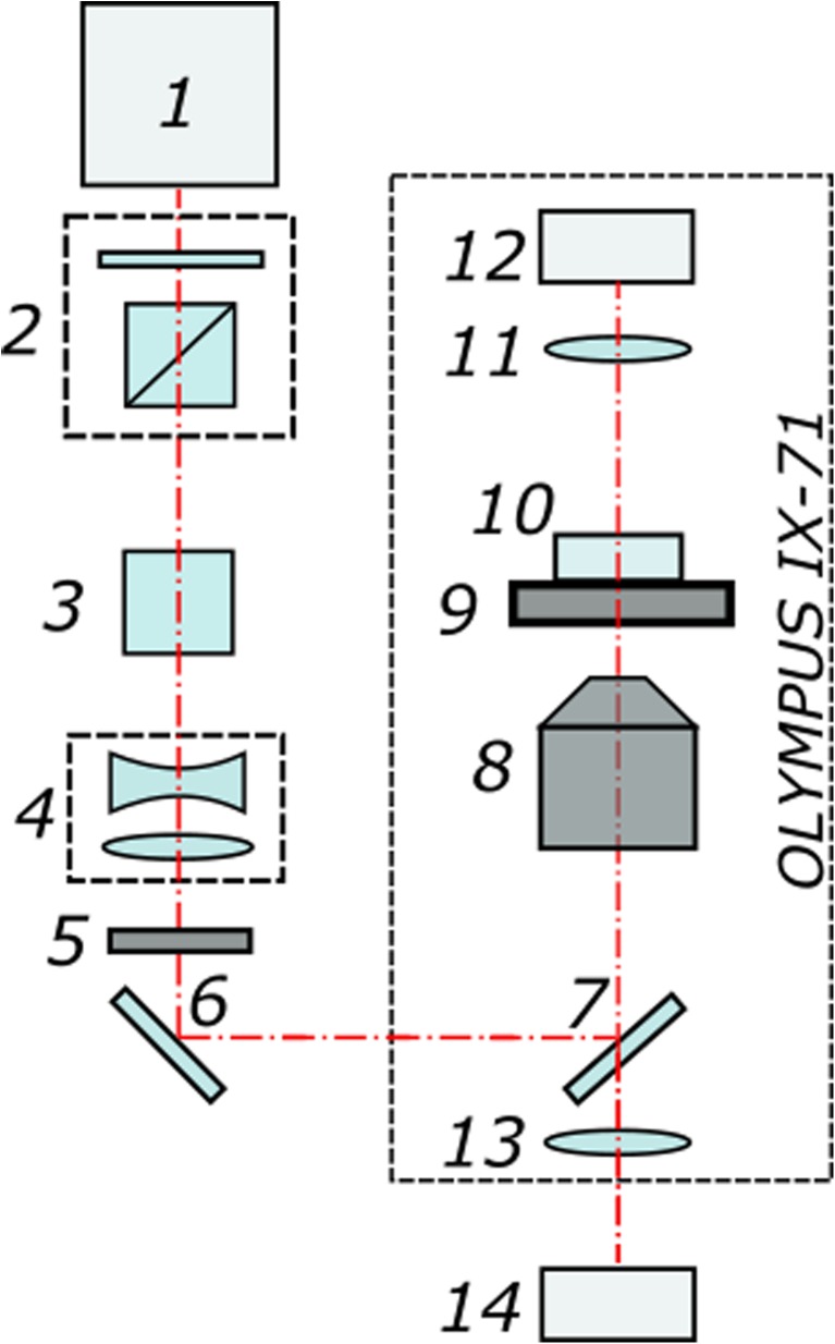 Fig. 1