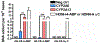 Fig. 4: