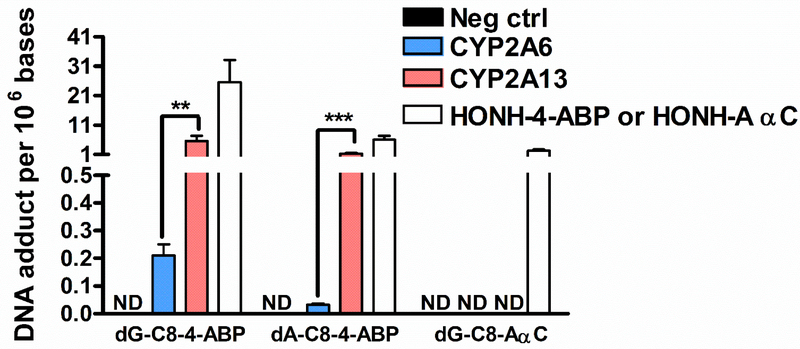 Fig. 4: