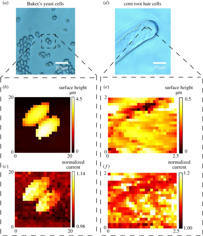 Figure 10.