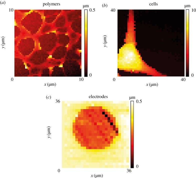 Figure 4.