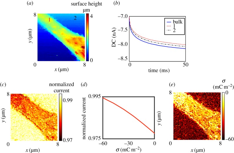 Figure 11.