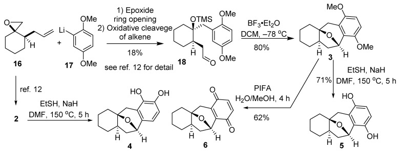 Scheme 1