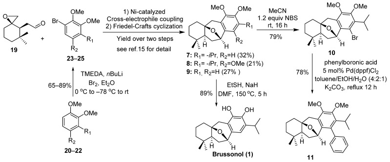 Scheme 2