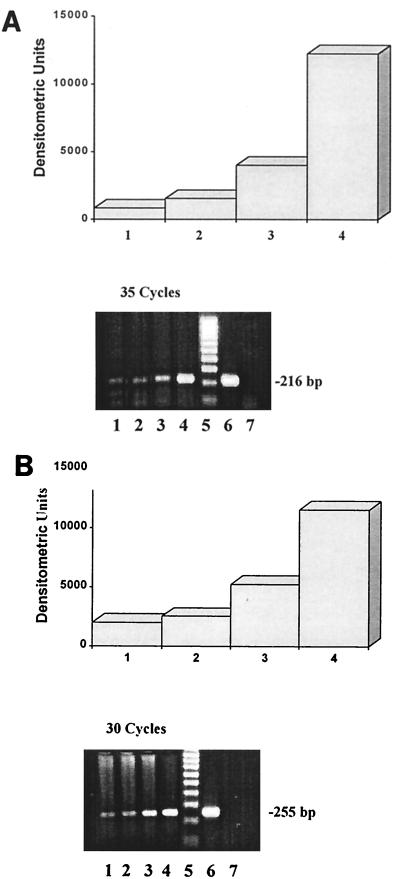 FIG. 5