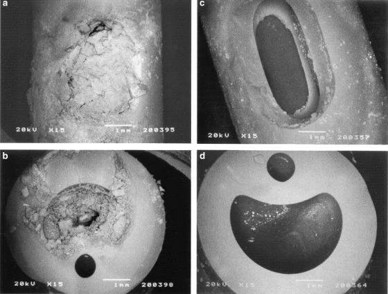 FIG. 7.