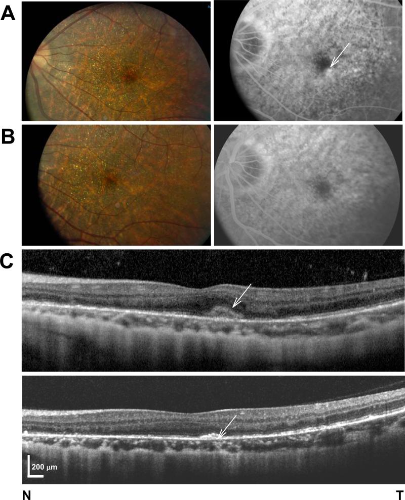 FIGURE 1