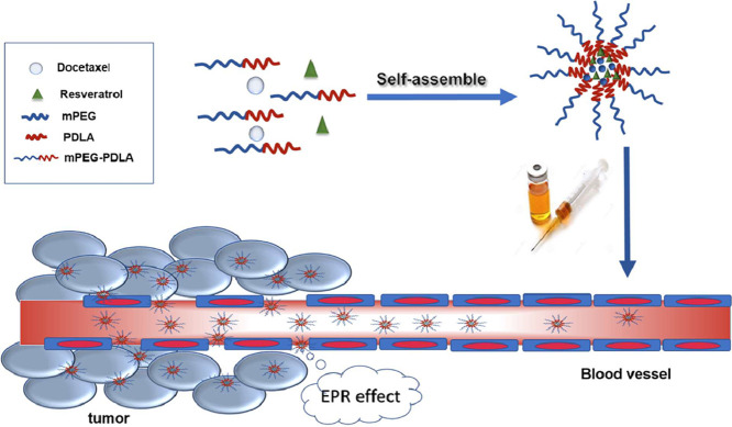 Image, graphical abstract