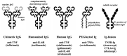 <sc>Fig</sc>. 1