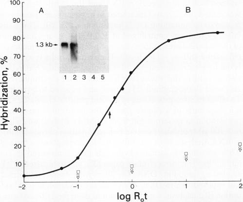 graphic file with name pnas00657-0218-a.jpg