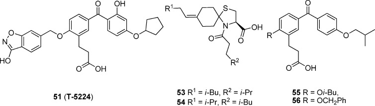 Figure 8