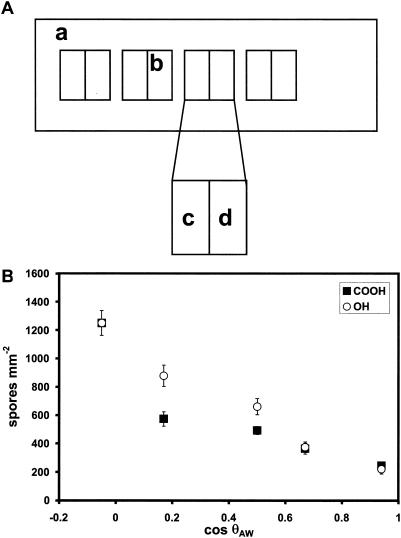 FIG. 5.