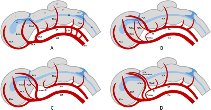 Figure 3.