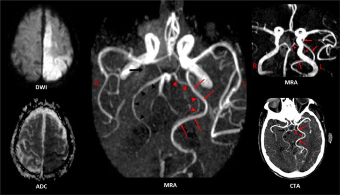 Figure 2.