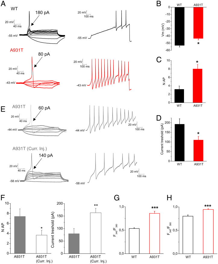 Fig. 6.