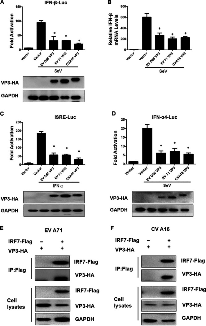 FIG 6