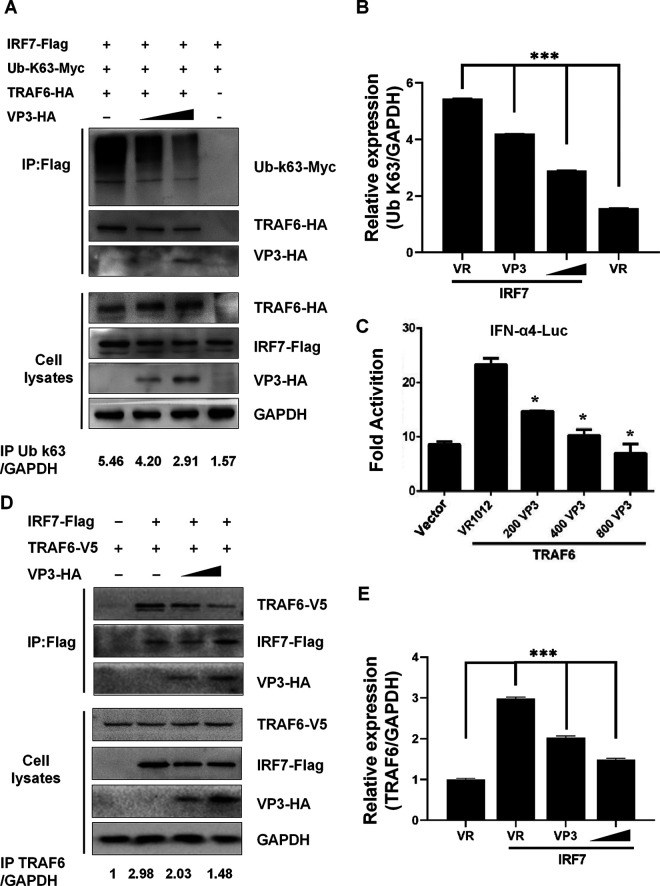 FIG 4