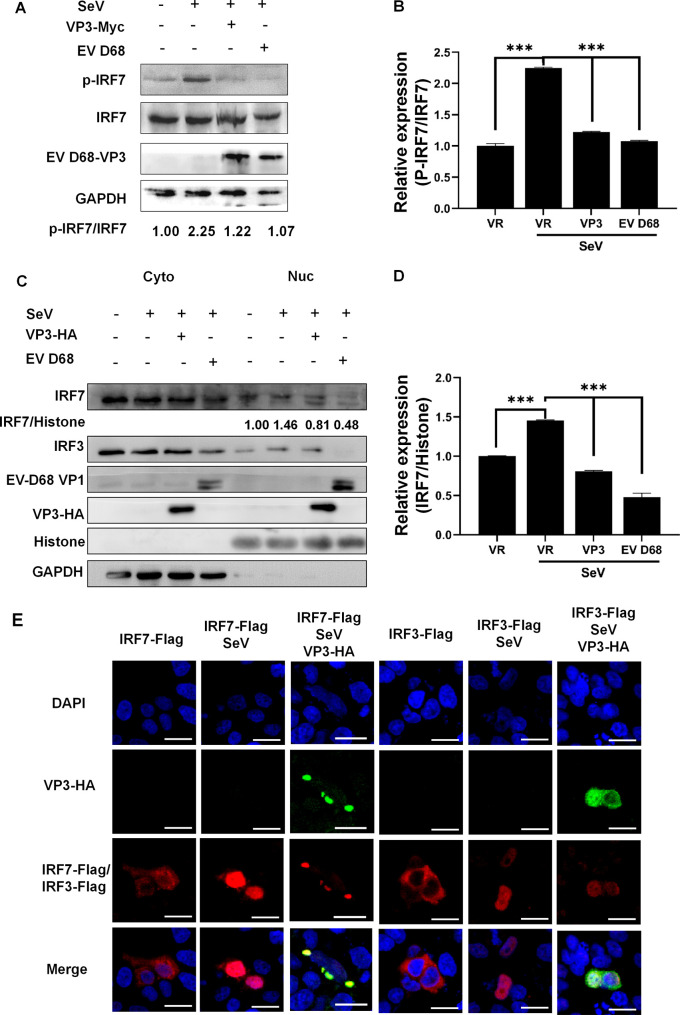 FIG 3