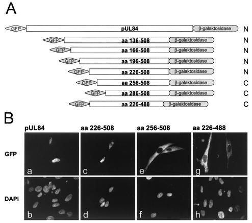 FIG. 8.