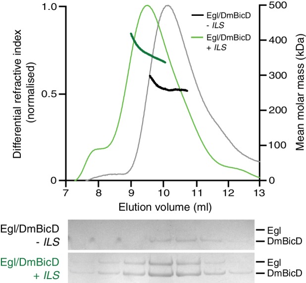 Figure 6—figure supplement 5.
