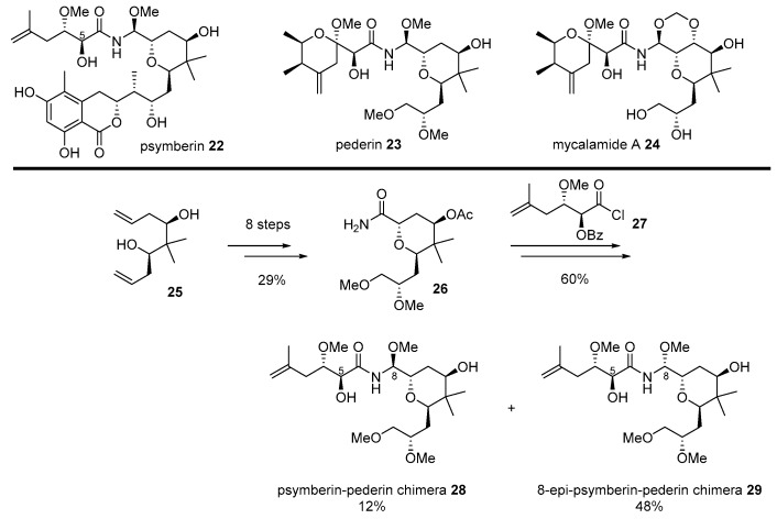 Scheme 4