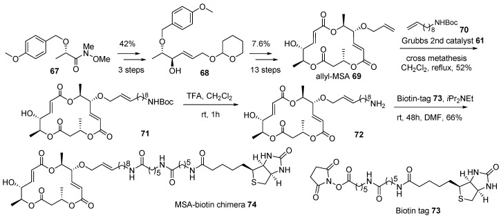 Scheme 10