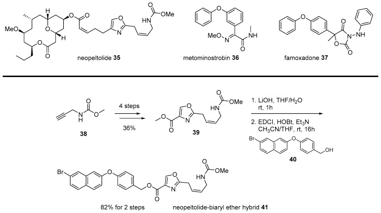 Scheme 6