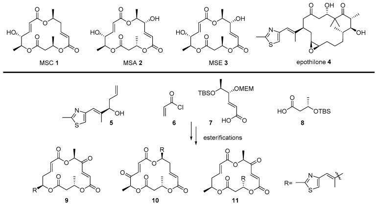 Scheme 1