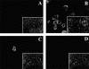 FIG. 4.