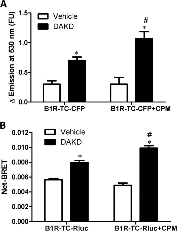 FIGURE 10.