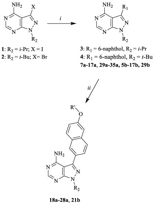 Scheme 1