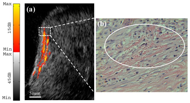 Fig. 6