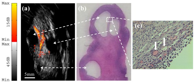 Fig. 5