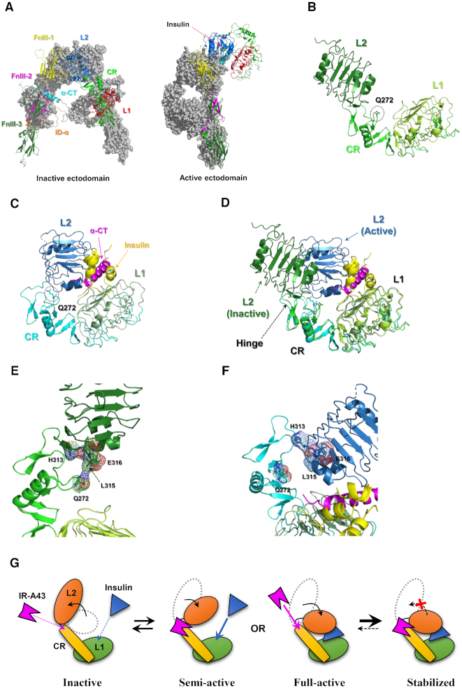 Figure 6.