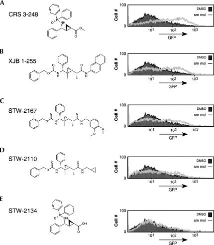 FIGURE 2.