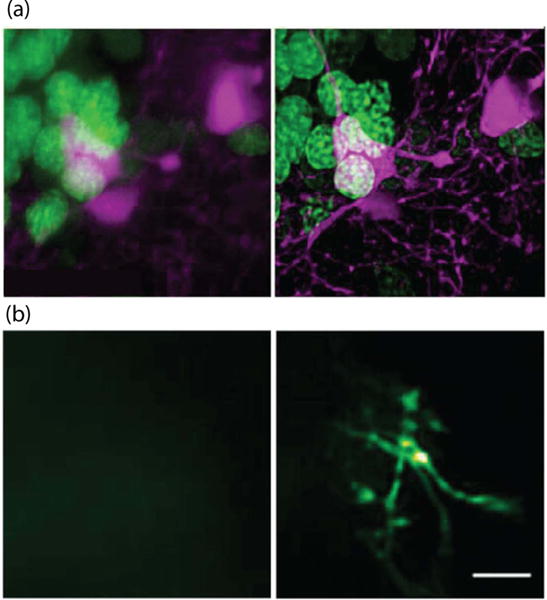 Figure 11